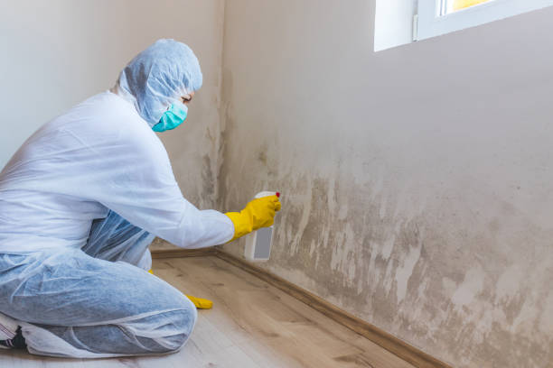 Bathroom Mold Removal assessment in Saint Joseph bathroom