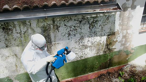 Mold Remediation service in Saint Joseph, Saint Joseph, MI